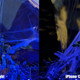 Imagen para el artículo titulado Comparamos la cámara del Google Pixel 6 con el iPhone 13 Pro y el Samsung Galaxy S21 Ultra